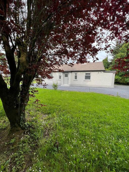 קילקני Ballybur Cottage מראה חיצוני תמונה